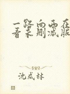 一路向西在线观看未删减版封面