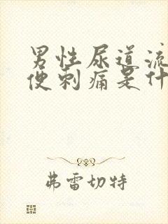 男性尿道流脓小便刺痛是什么问题封面