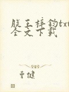 朕王梓钧txt全文下载封面