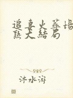 追妻火葬场这我熟大结局封面