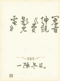 电影《伸冤人1》免费观看