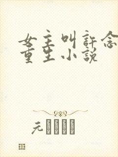 女主叫许念初的重生小说