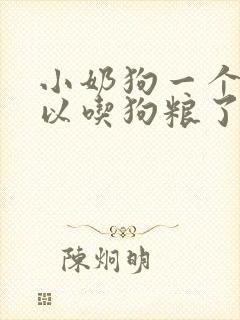 小奶狗一个月可以吃狗粮了吗封面