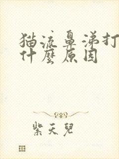 猫流鼻涕打喷嚏什么原因