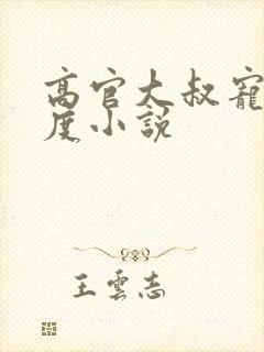 高官大叔宠妻无度小说