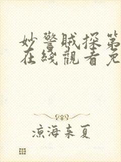 妙警贼探第二季在线观看免费封面