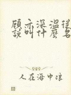 顾亦深温从容小说叫什么名字