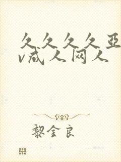 久久久久亚洲av成人网人