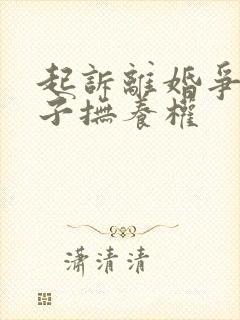 起诉离婚争取孩子抚养权