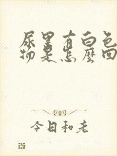 尿里有白色絮状物是怎么回事男性