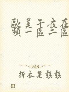 欧美午夜在线视频一区二区