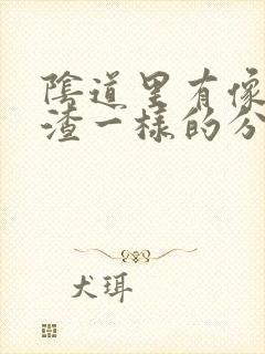 阴道里有像豆腐渣一样的分泌物