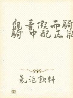 观看假面骑士创骑 中配正版