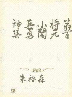 神兵小将第22集勇闯元首宫