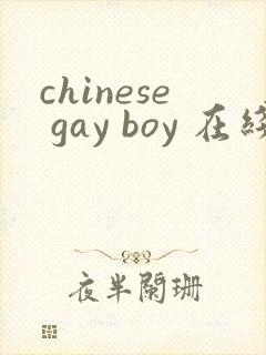 chinese gay boy 在线视频