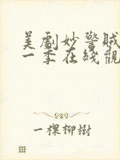 美剧妙警贼探第一季在线观看