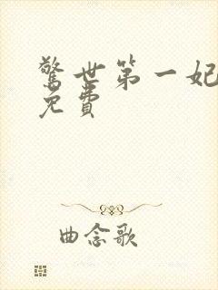 惊世第一妃全文免费封面