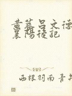 黄蓉吕文德吕谦襄阳后记封面