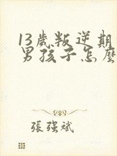 13岁叛逆期的男孩子怎么去引导