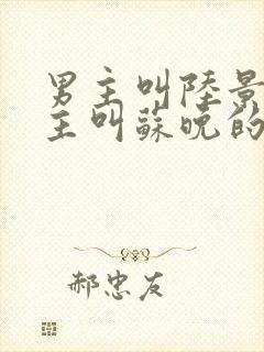 男主叫陆景川女主叫苏晚的小说