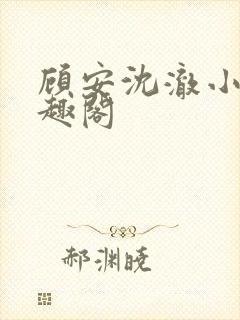 顾安沈澈小说笔趣阁