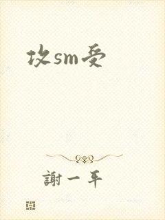 攻sm受