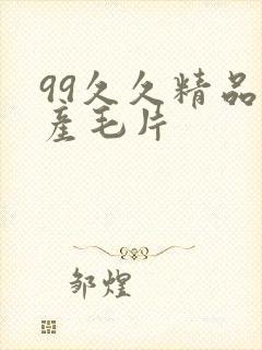 99久久精品国产毛片