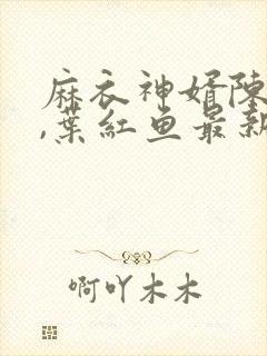 麻衣神婿陈黄皮,叶红鱼最新章节目录