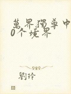 万界独尊中的10个境界