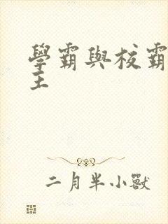 学霸与校霸双男主