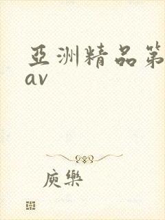 亚洲精品第一页av
