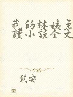 我的林姨免费阅读小说全文