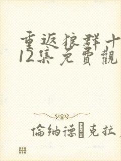 重返狼群十周年12集免费观看封面