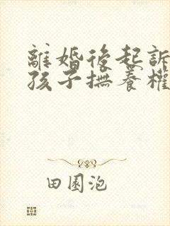 离婚后起诉要回孩子抚养权封面