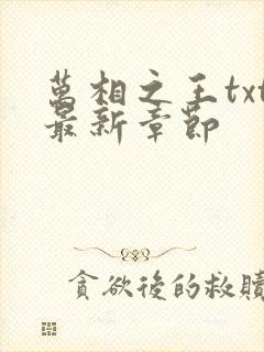 万相之王txt最新章节封面