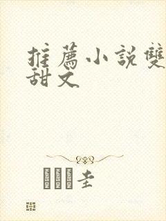 推荐小说双男主甜文