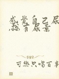 感觉自己尿不尽,总有尿意