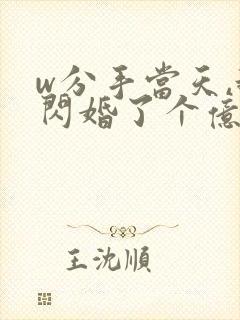 w分手当天,我闪婚了个亿万富翁》