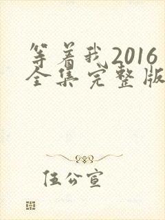 等着我2016全集完整版免费观看