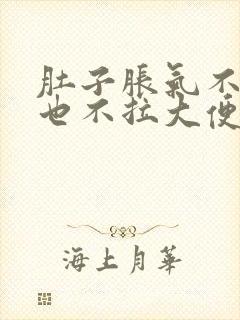 肚子胀气不放屁也不拉大便