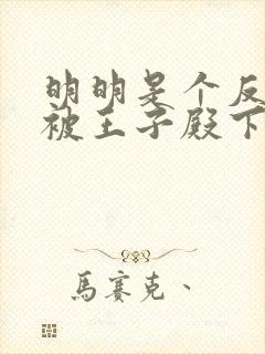 明明是个反派却被王子殿下给宠爱了小说