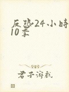 反恐24小时第10季封面