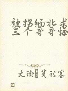 被拐缅北求死后三个哥哥悔疯了小说免费阅读