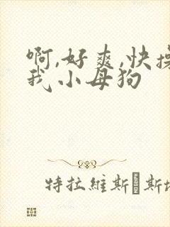 啊,好爽,快操我小母狗