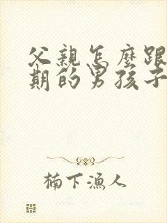 父亲怎么跟青春期的男孩子沟通封面