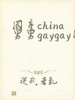 国产china男男gaygay网站