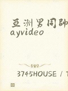 亚洲男同帅哥gayvideo