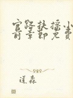 官路扶摇小说超前章节免费阅读