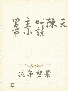 男主叫陈天的都市小说