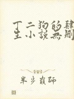 丁二狗的肆意人生小说无删减txt